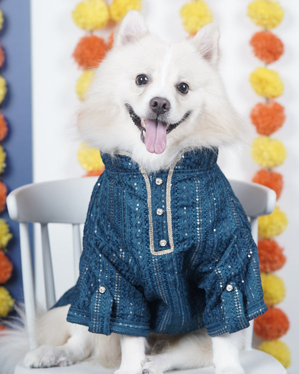 Careatic™ Peacock Sequin Dog Kurta
