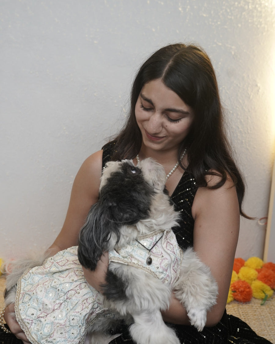 Pearl Ghera dog lehenga on a Shih Tzu