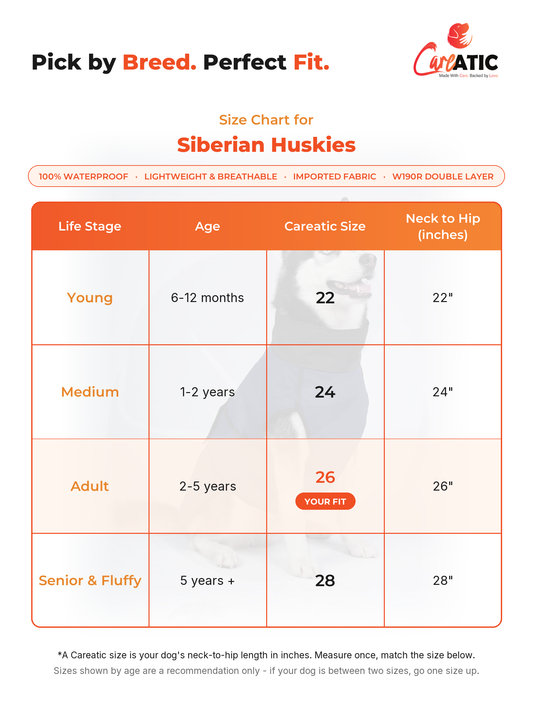 Careatic dog apparel size chart for Husky — neck, chest and back-length measurements