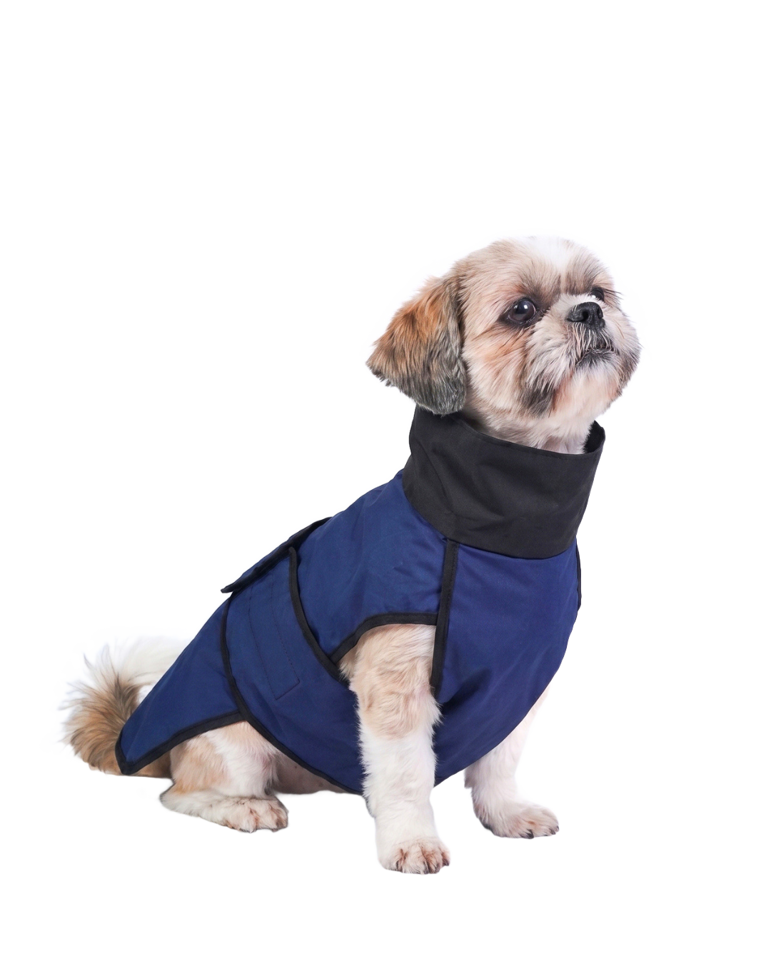 Shih Tzu dog raincoat - Careatic