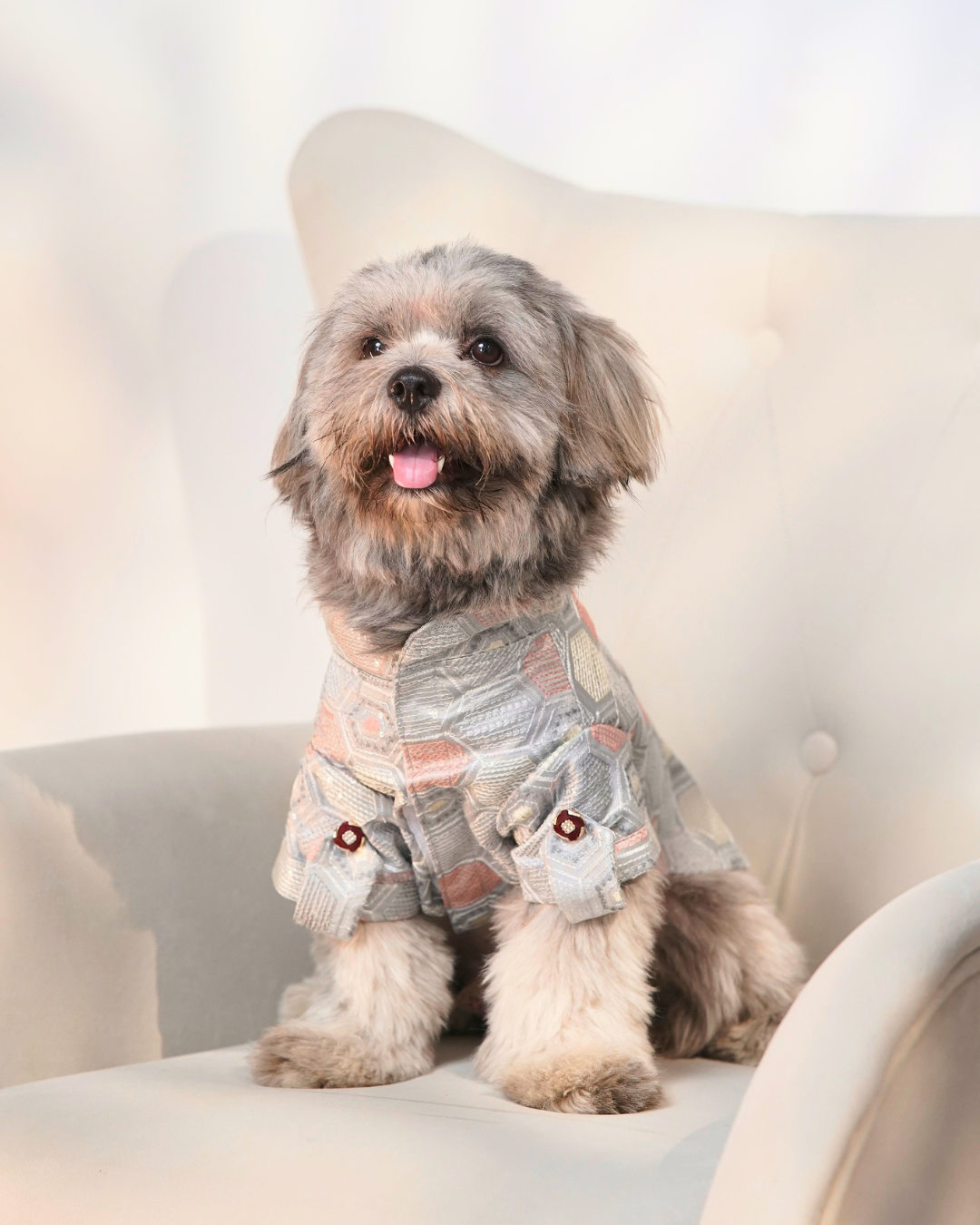 Shih Tzu on a cream armchair in the Chandi Mehfil dog kurta, silver grey with coral and peach hexagons, front view