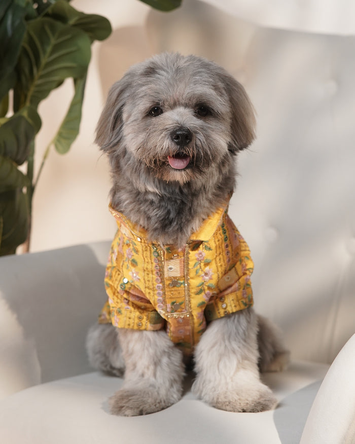 Mela Mustard Kurta