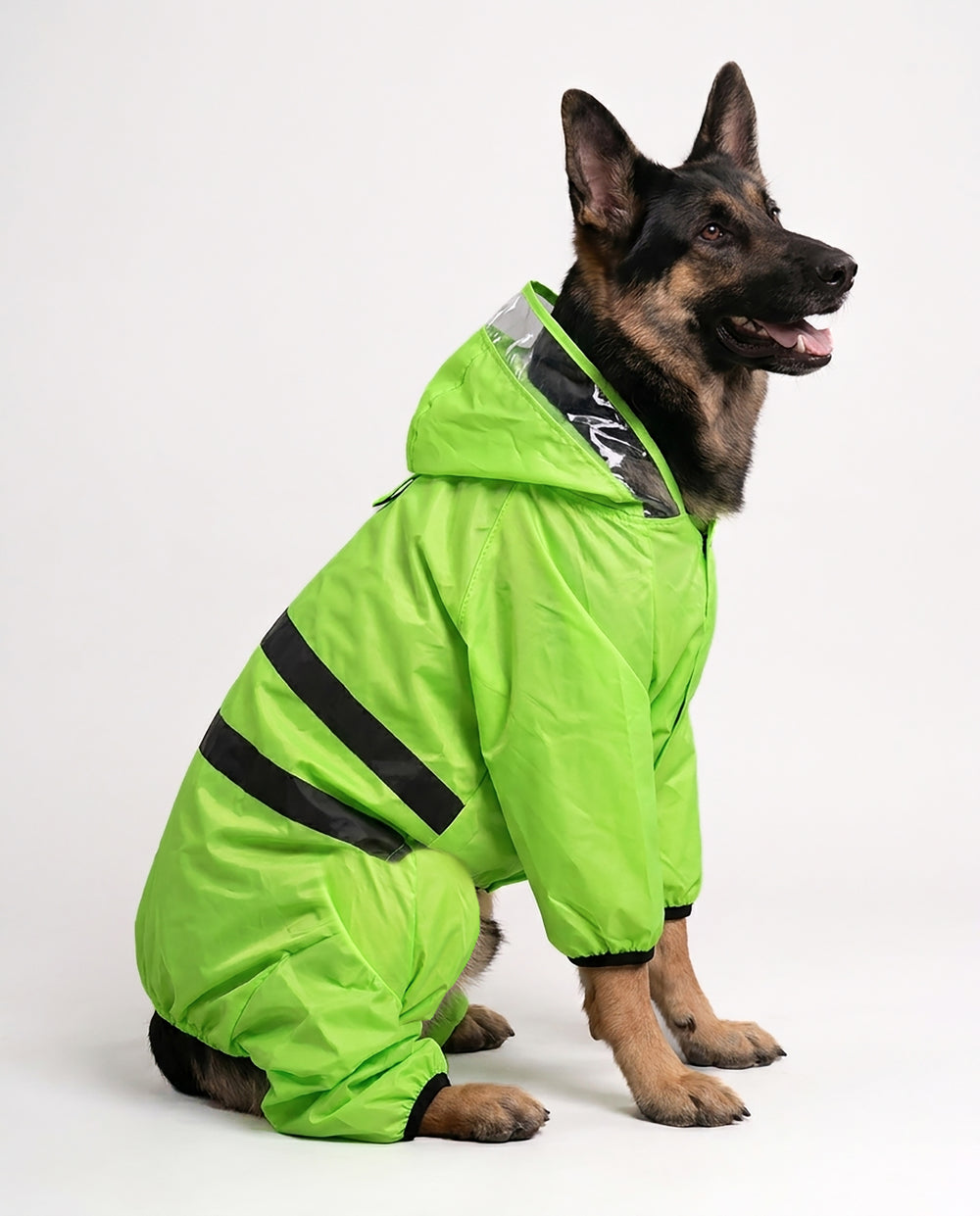 German Shepherd wearing the Careatic NeonShield Pro waterproof dog raincoat