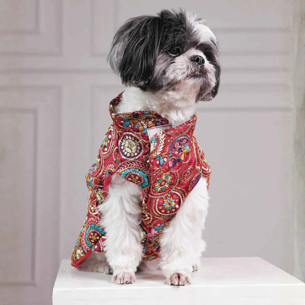 Careatic™ Royal Embroidered Dog Kurta for Golden Retriever