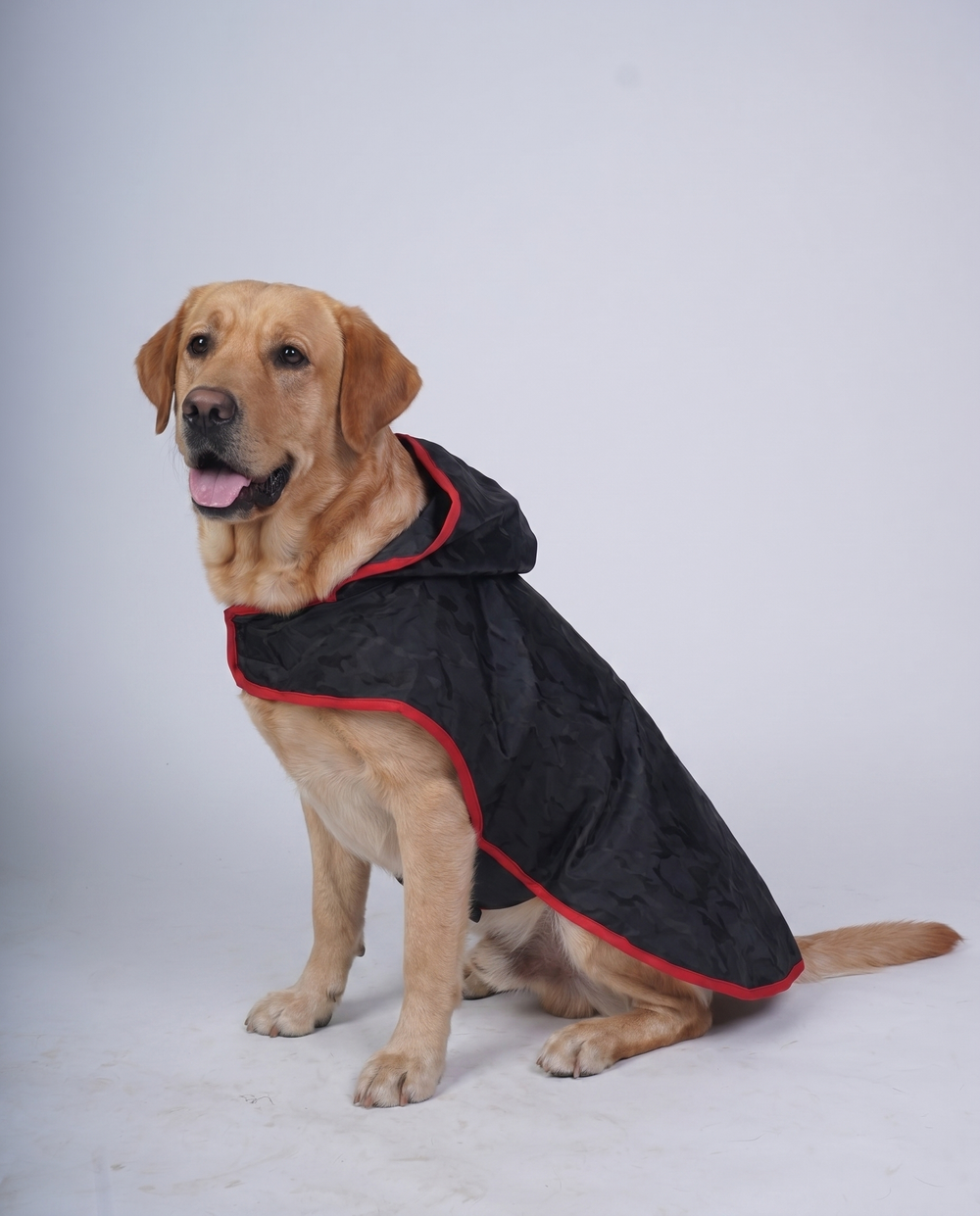 Careatic™ Black Army Sleeveless Dog Raincoat for Labrador Retriever