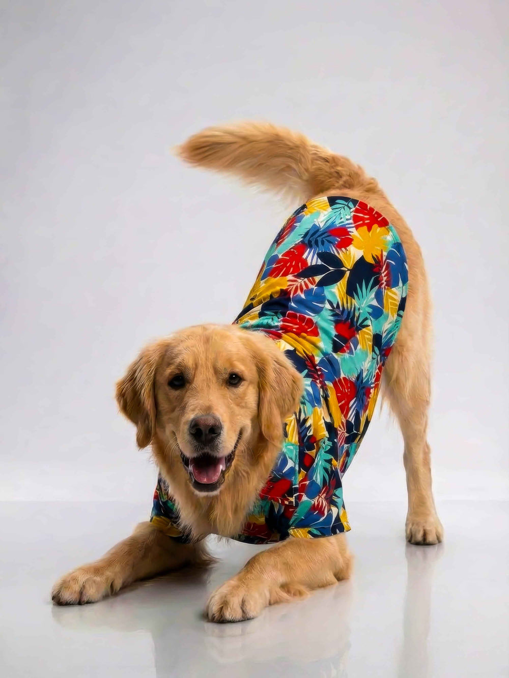 Careatic™ Goa Vibes Dog Shirt for Golden Retriever - CAREATIC