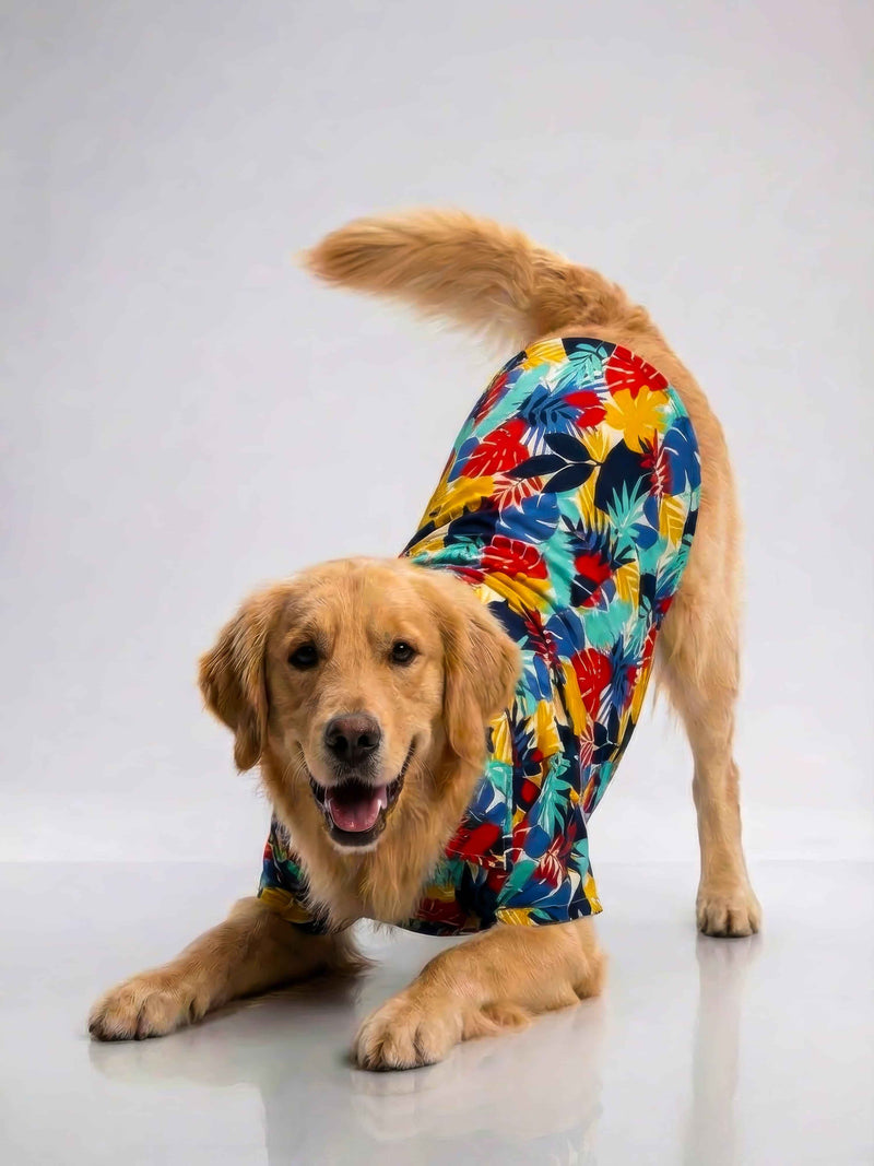 Careatic™ Goa Vibes Shirt for Golden Retrievers - CAREATIC