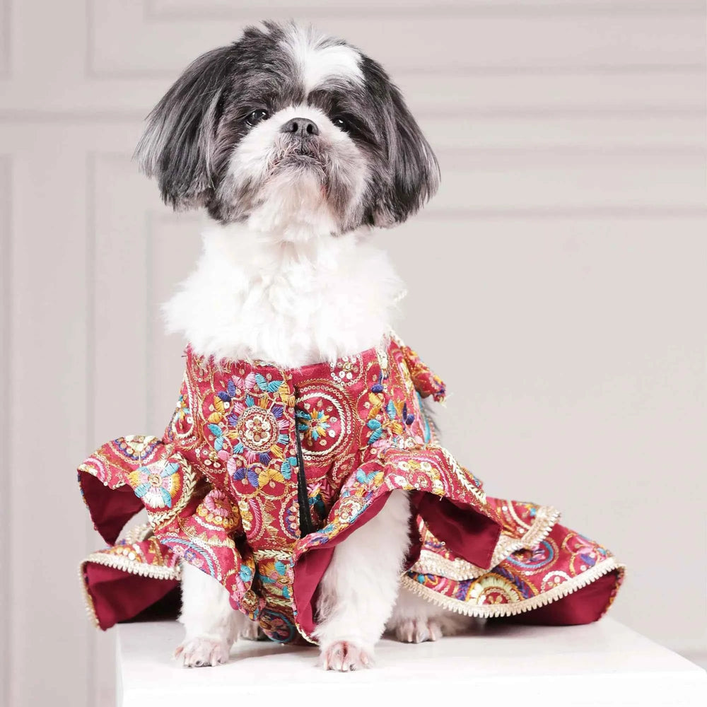 Careatic™ Royal Embroidered Dog Lehenga for Golden Retriever