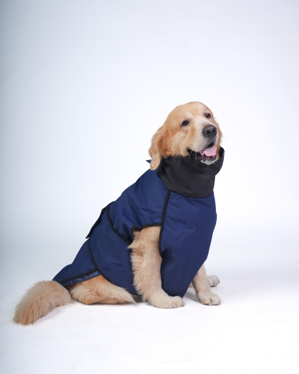 Careatic™ RainFlex Lite Sleeveless Dog Raincoat for Golden Retriever