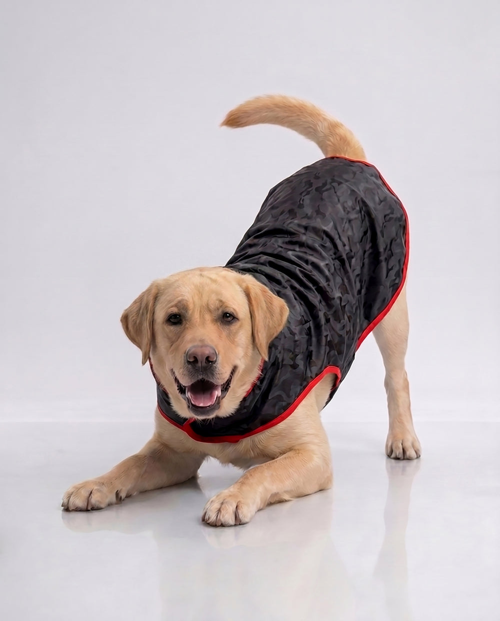 Careatic™ Black Army Sleeveless Dog Raincoat for Labrador Retriever