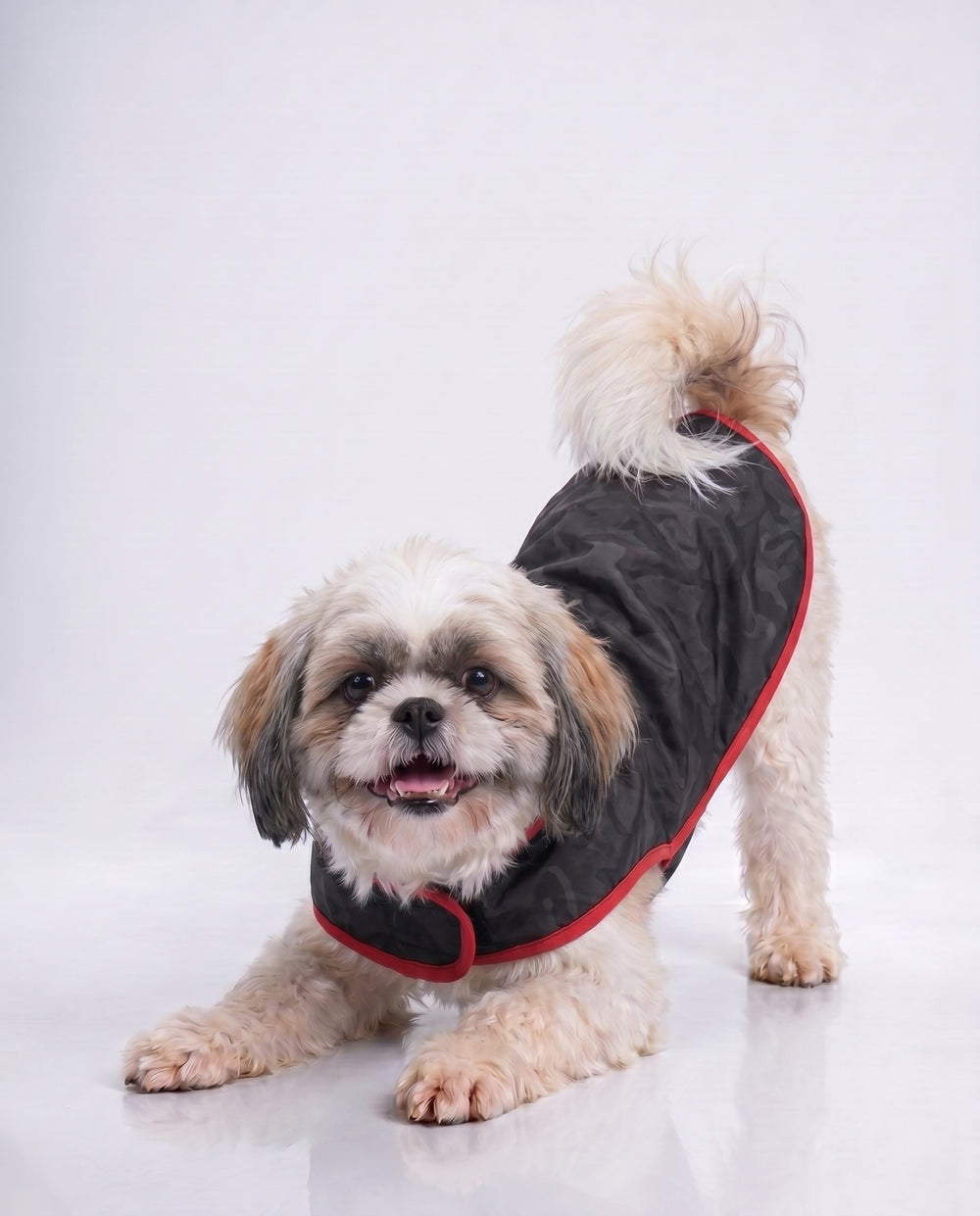Careatic™ Black Army Sleeveless Dog Raincoat for Shih Tzu