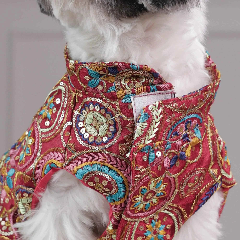 Careatic™ Royal Embroidered Dog Kurta for Golden Retriever