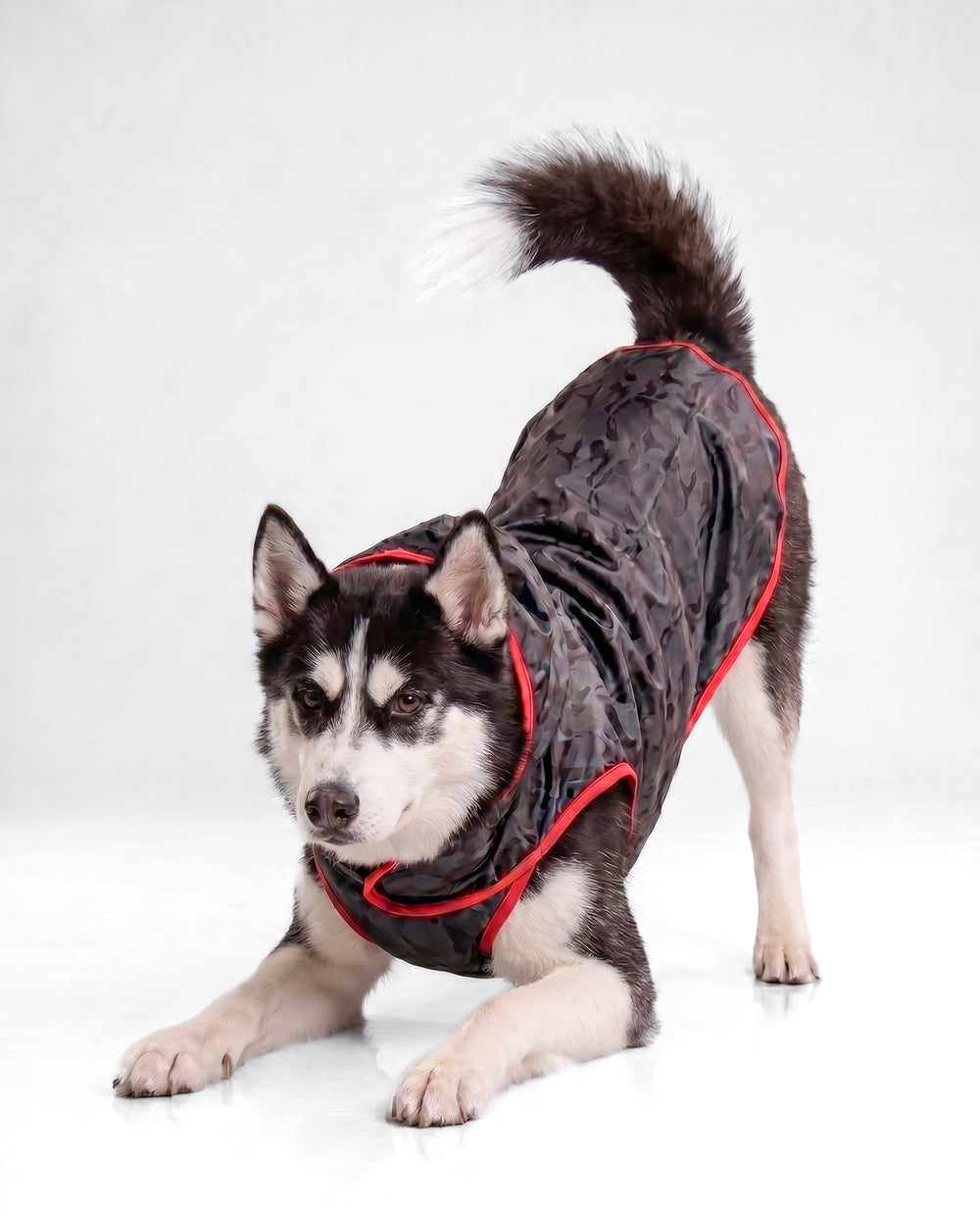 Careatic™ Black Army Sleeveless Dog Raincoat for Husky