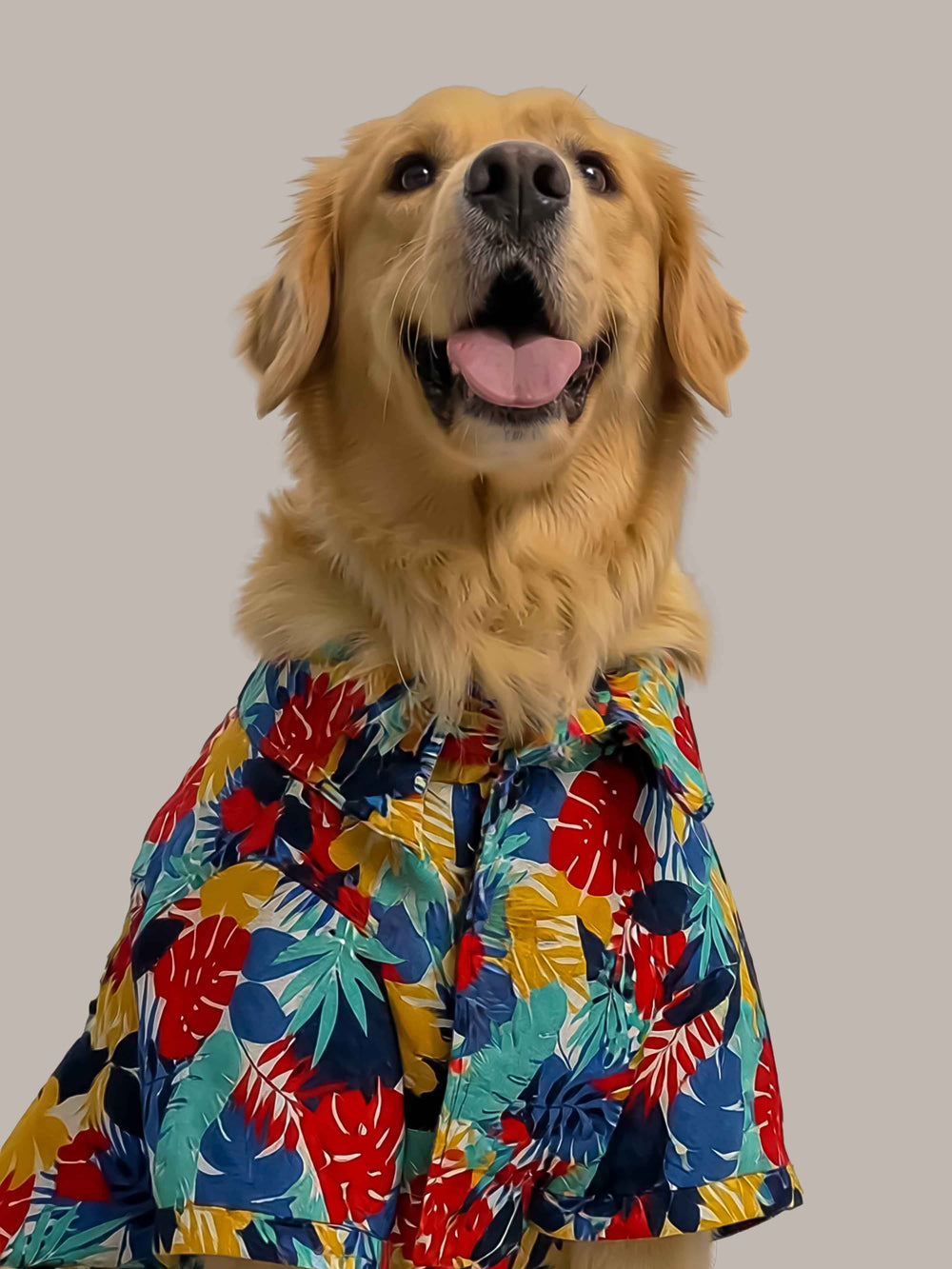 Careatic™ Goa Vibes Dog Shirt for Golden Retriever - CAREATIC