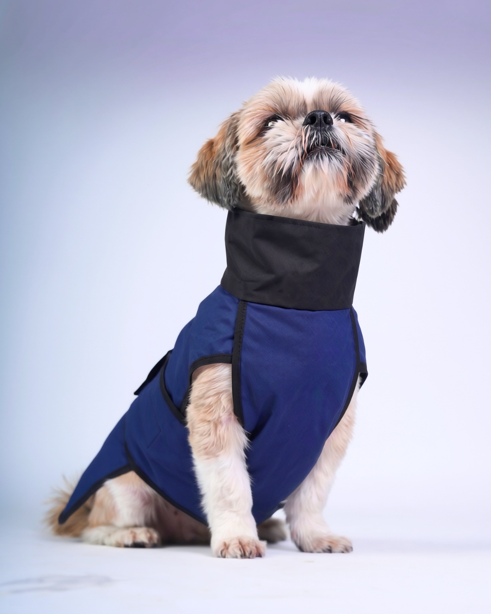 Careatic™ RainFlex Lite Sleeveless Dog Raincoat for Shih Tzu