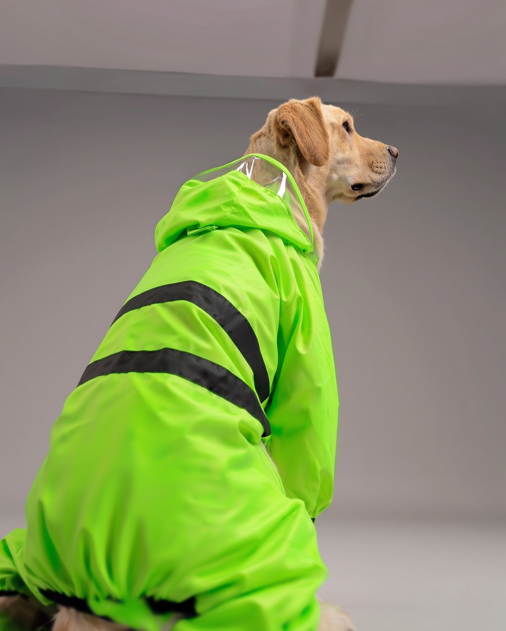 Careatic™ NeonShield Pro Jumpsuit Dog Raincoat for Boxer