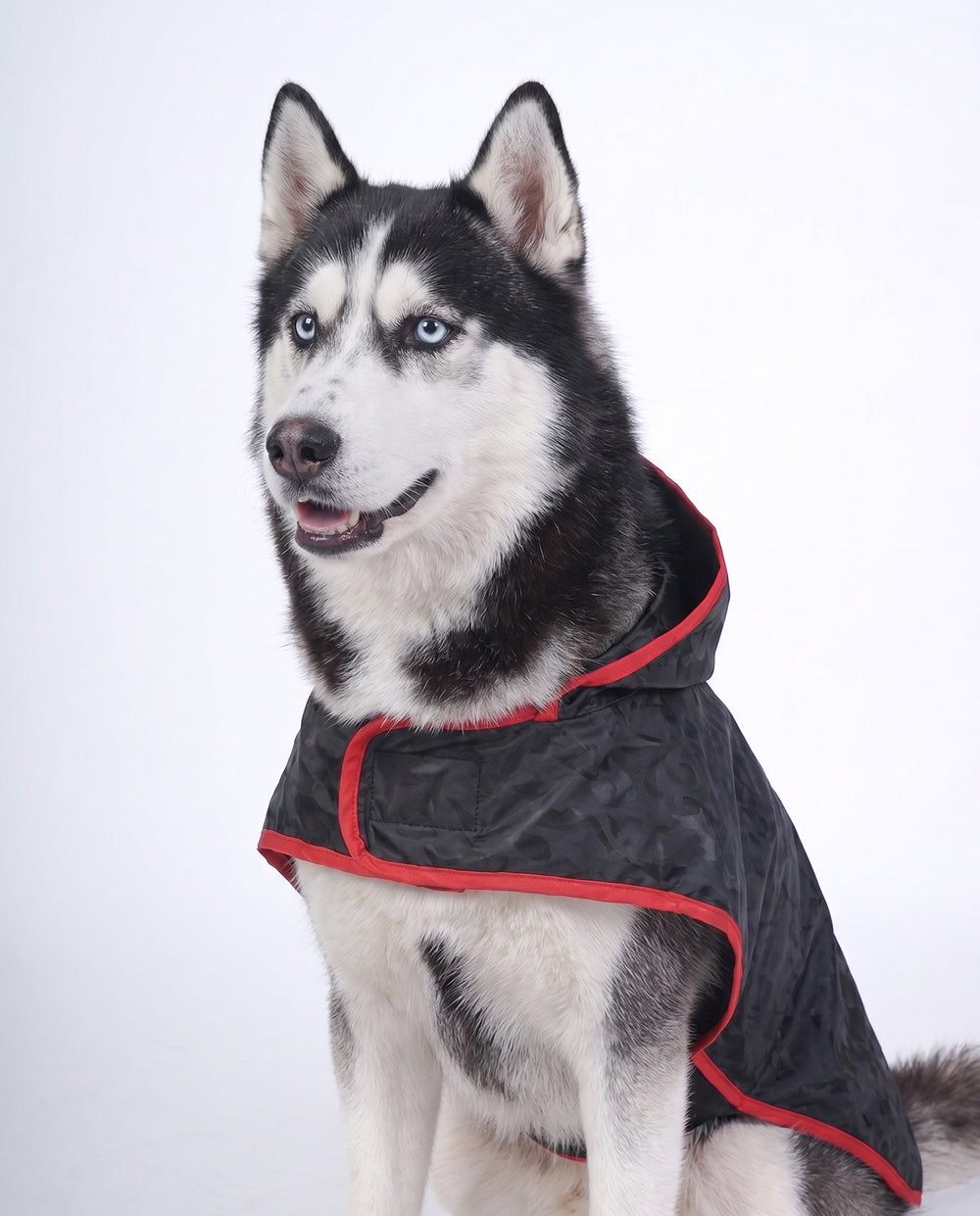 Careatic™ Black Army Sleeveless Dog Raincoat for Husky