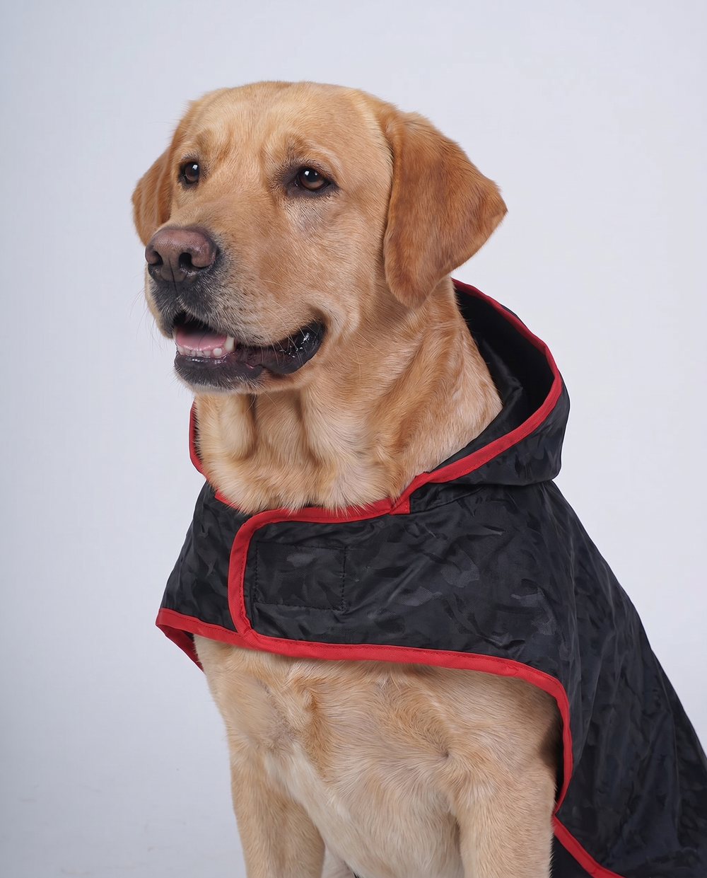 Careatic™ Black Army Sleeveless Dog Raincoat for Labrador Retriever