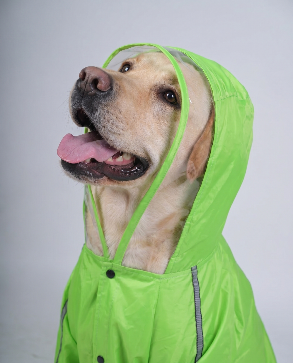 Careatic™ NeonShield Pro Jumpsuit Dog Raincoat for Boxer