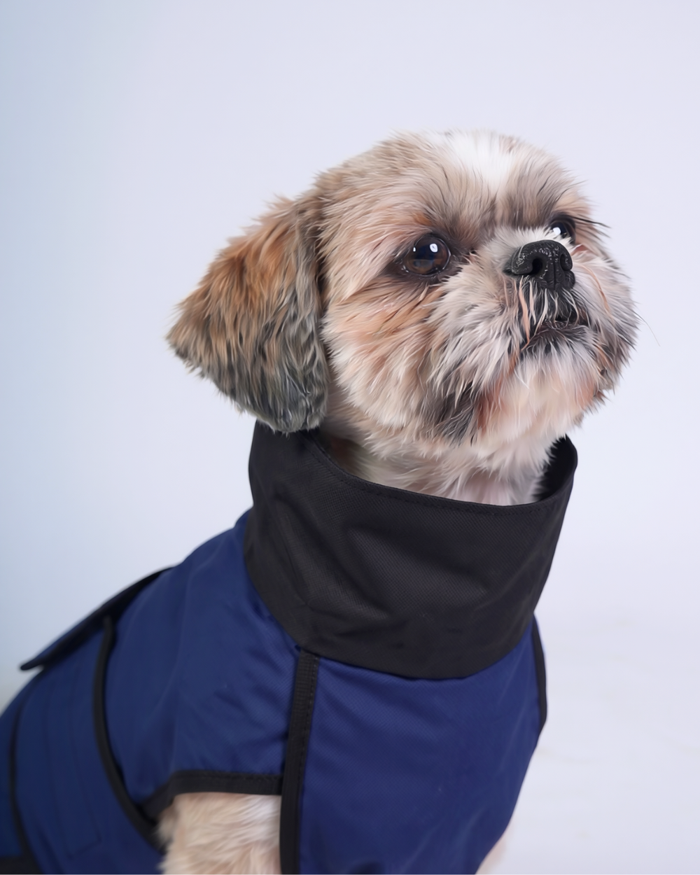 Careatic™ RainFlex Lite Sleeveless Dog Raincoat for Shih Tzu