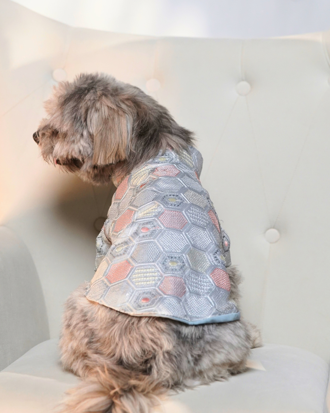 Back view of the Chandi Mehfil dog kurta on a Shih Tzu