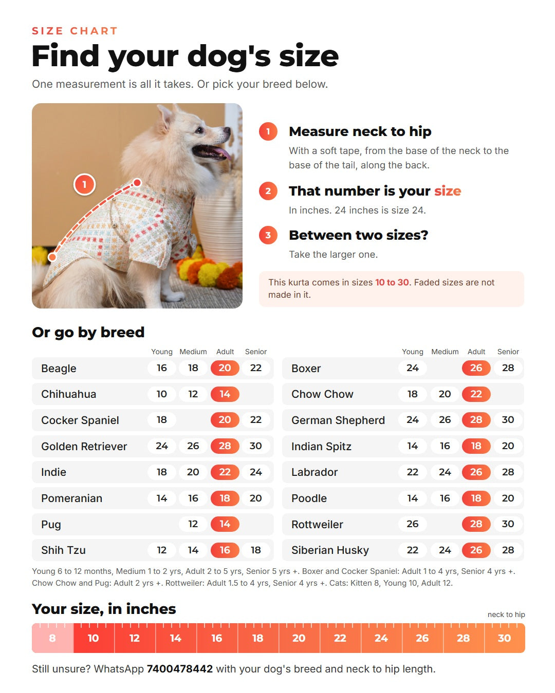 Size chart: measure your dog from the base of the neck to the base of the tail in inches, that number is the size, with sizes by breed and age
