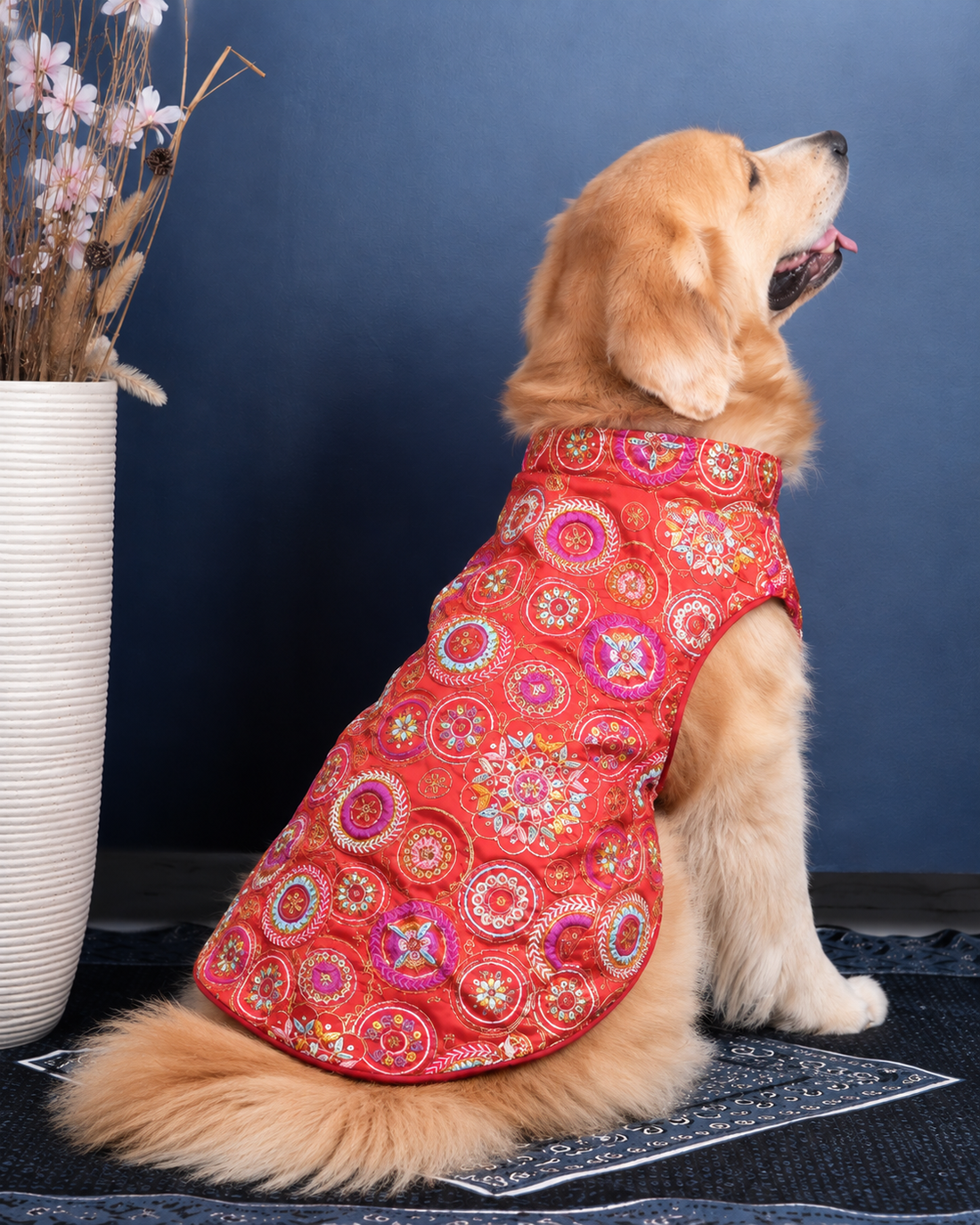 Back view of the Royal Embroidered dog kurta on a Golden Retriever