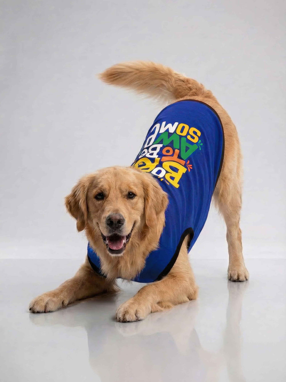 Careatic™ Born to Be Awesome Blue Dog T-Shirt for Golden Retriever - CAREATIC