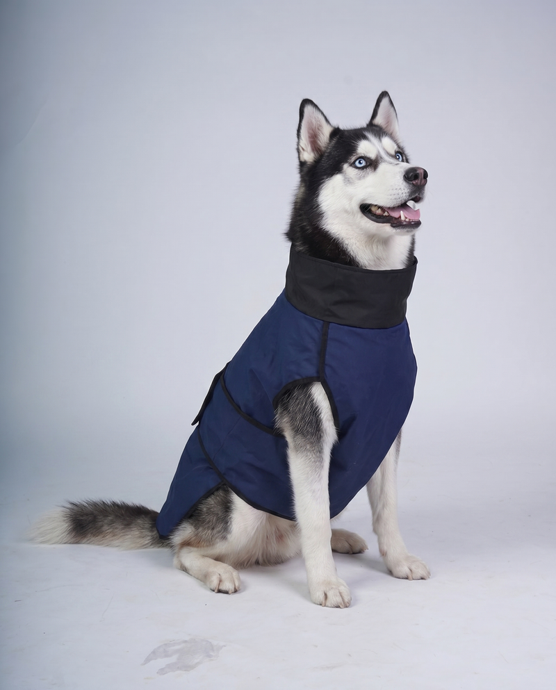 Careatic™ RainFlex Lite Sleeveless Dog Raincoat for Siberian Husky