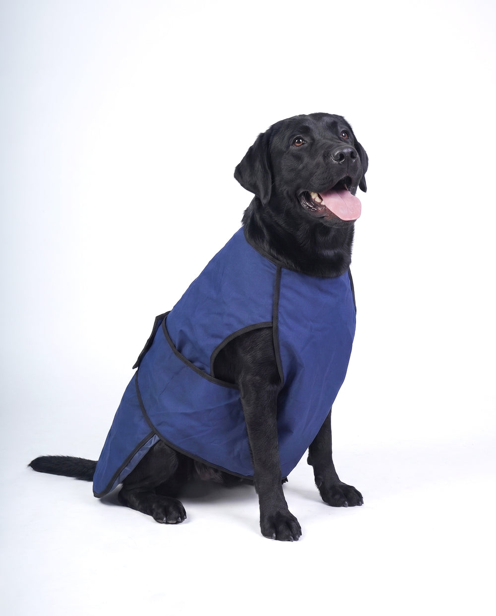 Careatic™ RainFlex Lite Sleeveless Dog Raincoat for Labrador Retriever