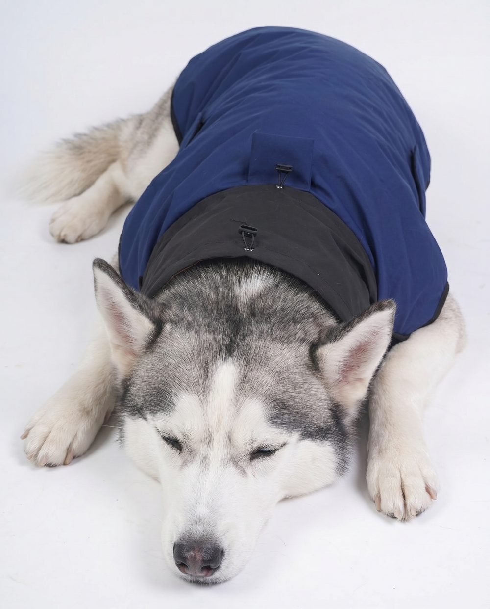 Careatic™ RainFlex Lite Sleeveless Dog Raincoat for Siberian Husky