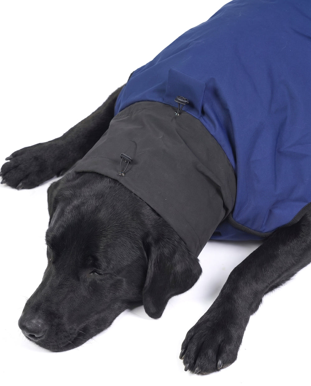 Careatic™ RainFlex Lite Sleeveless Dog Raincoat for Labrador Retriever