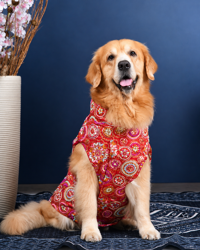 Royal Embroidered Kurta