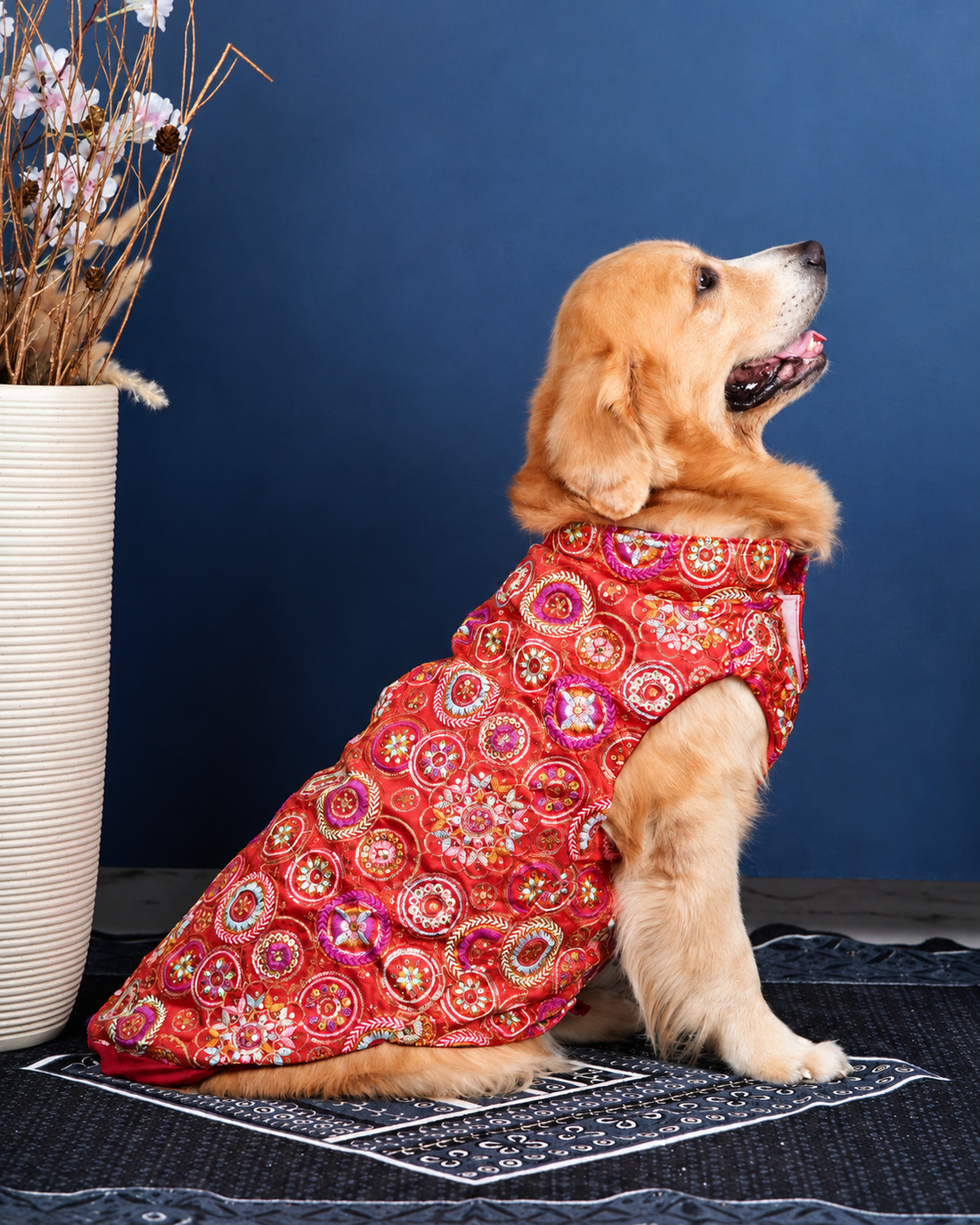 Side view of a Golden Retriever in the Royal Embroidered dog kurta, showing the fit along the back