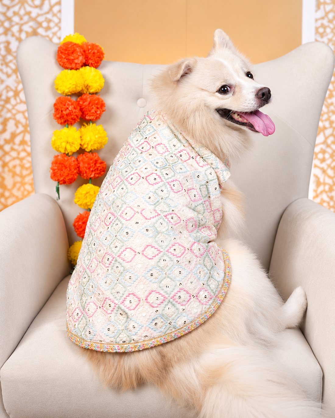 Back view of the Mishri Sheesha dog kurta on an Indian Spitz