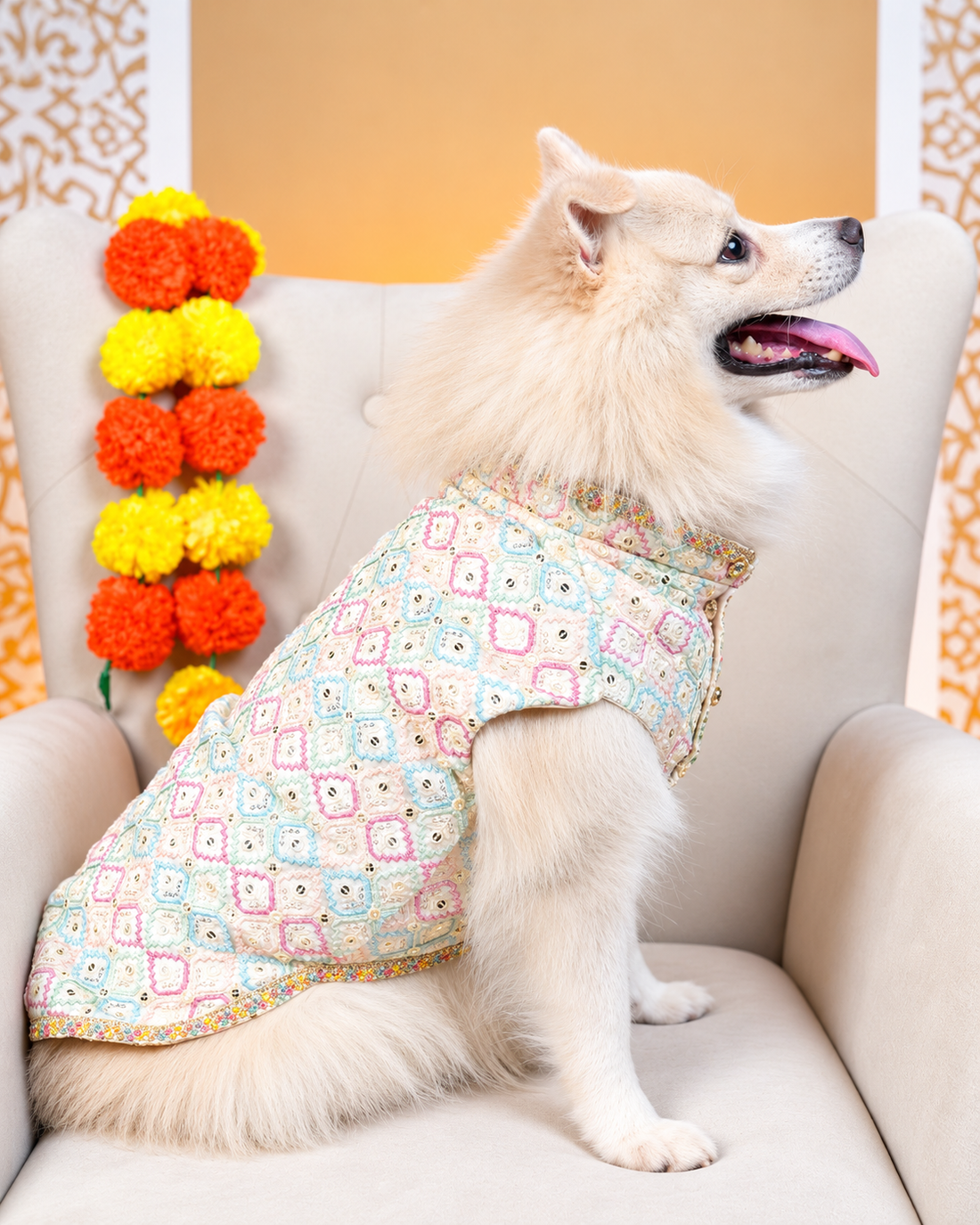 Side view of an Indian Spitz in the Mishri Sheesha dog kurta, showing the fit along the back