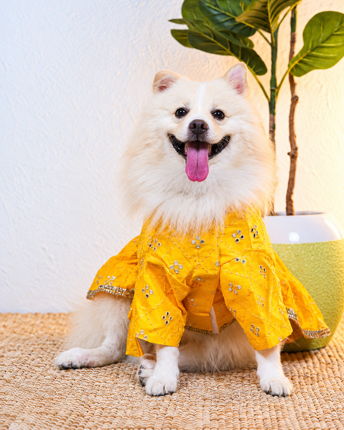 Genda Phool Lehenga