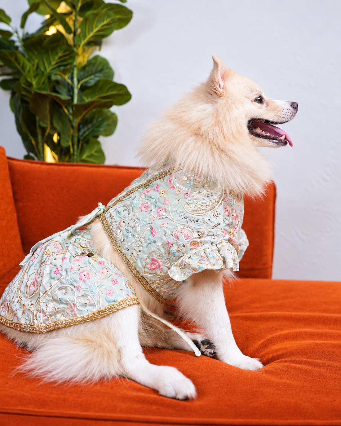 Careatic™ Elaichi Ghera Dog Lehenga