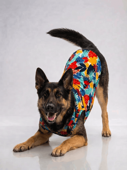 Careatic™ Goa Vibes Shirt for German Shepherd - CAREATIC