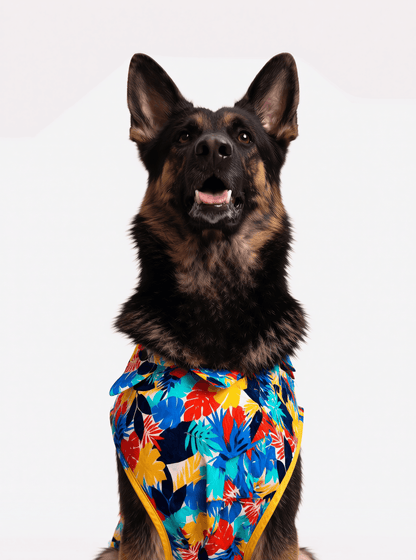 Careatic™ Goa Vibes Shirt for German Shepherd - CAREATIC