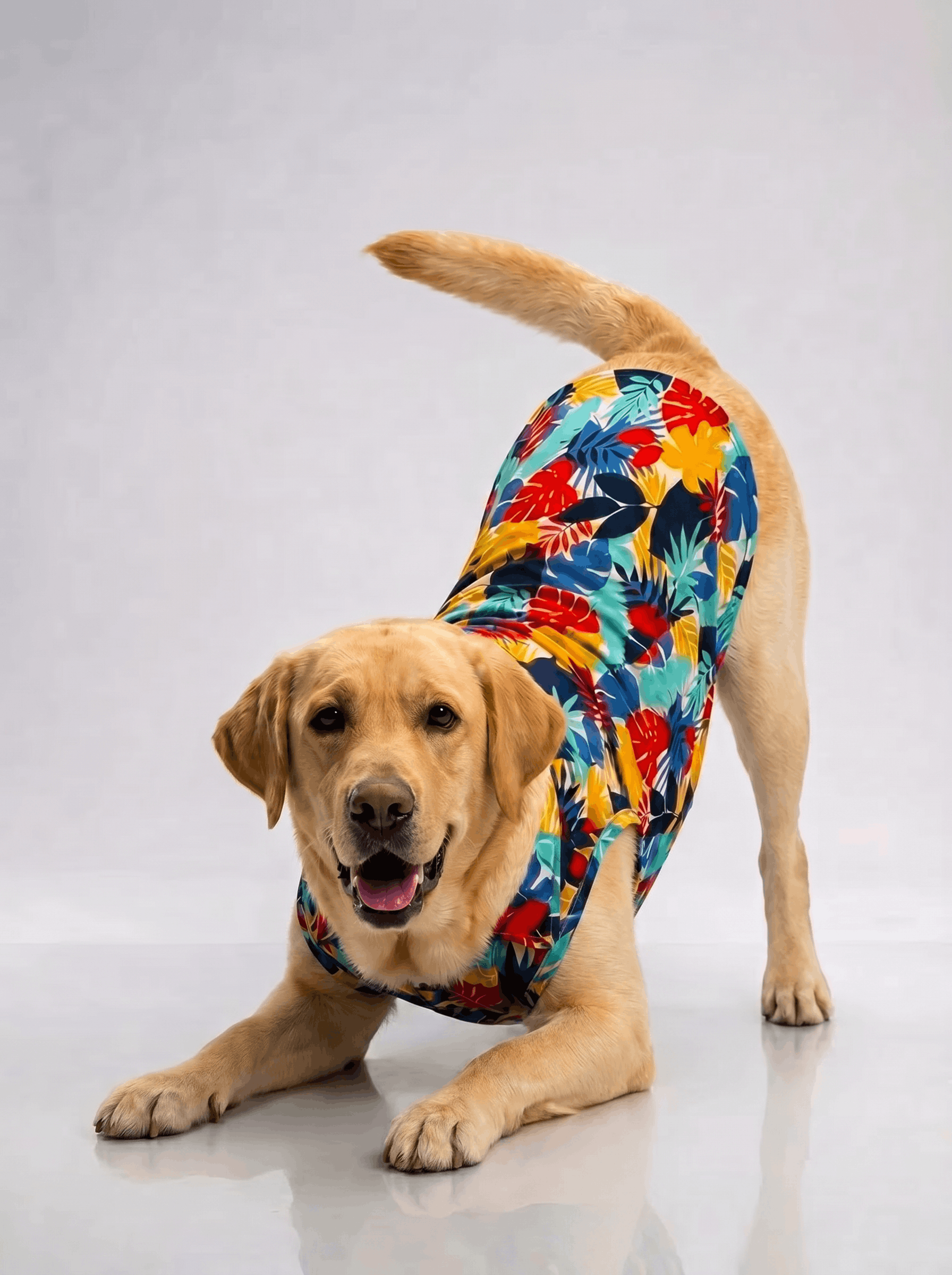 Careatic™ Goa Vibes Shirt for Labrador Retrievers - CAREATIC