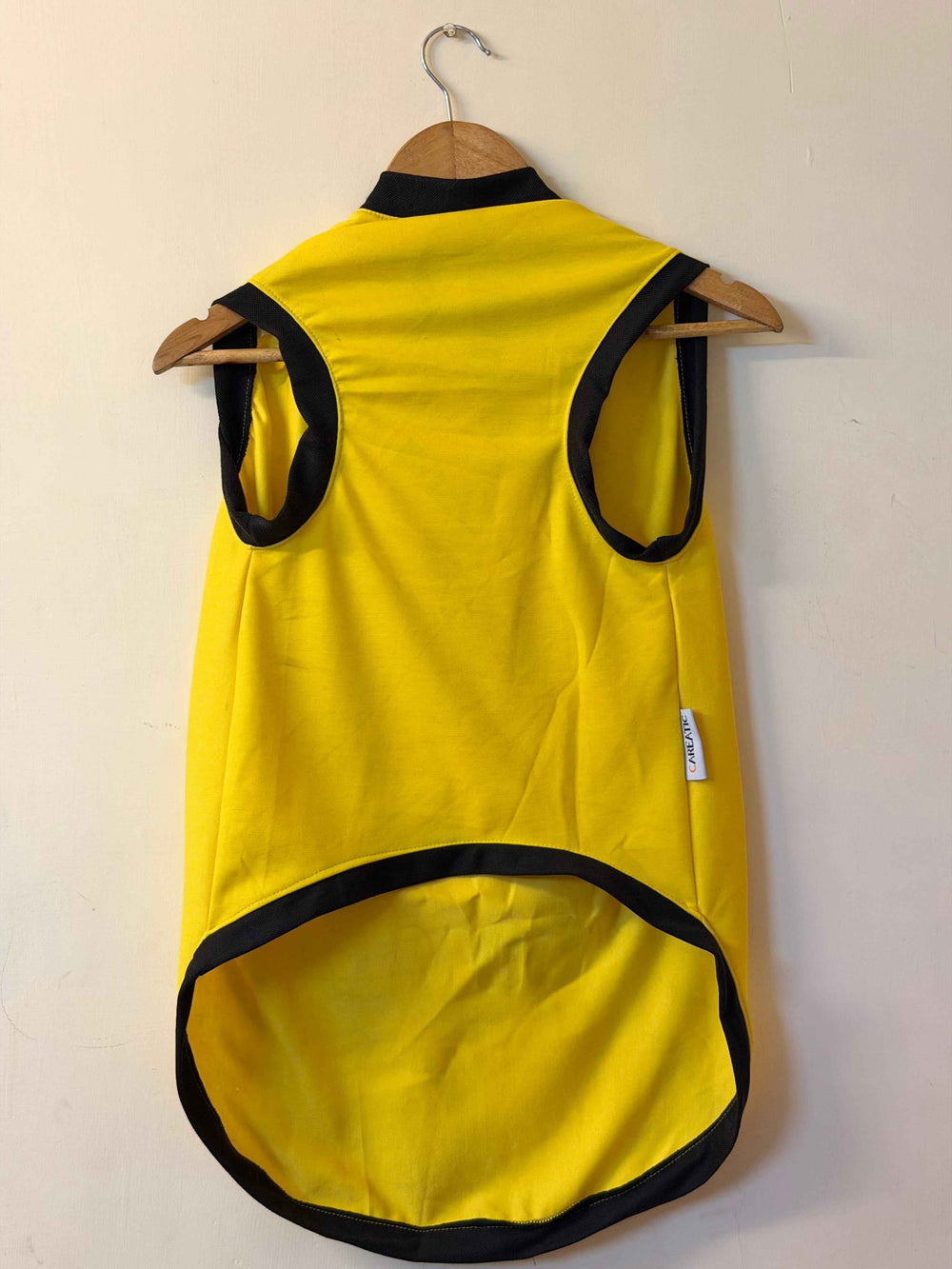 Careatic™ Born to Be Awesome Yellow T-shirt for Dogs - CAREATIC