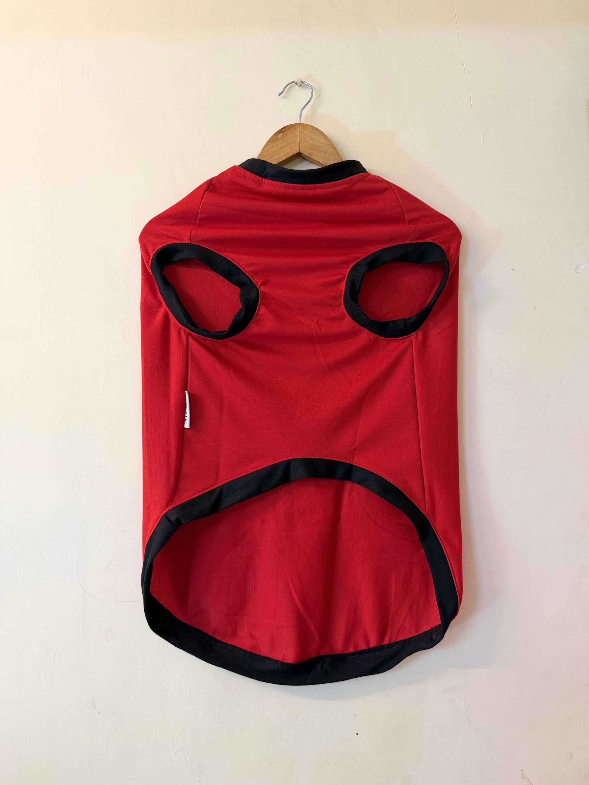 Careatic™ Born to Be Awesome Red T-shirt for Dogs - CAREATIC
