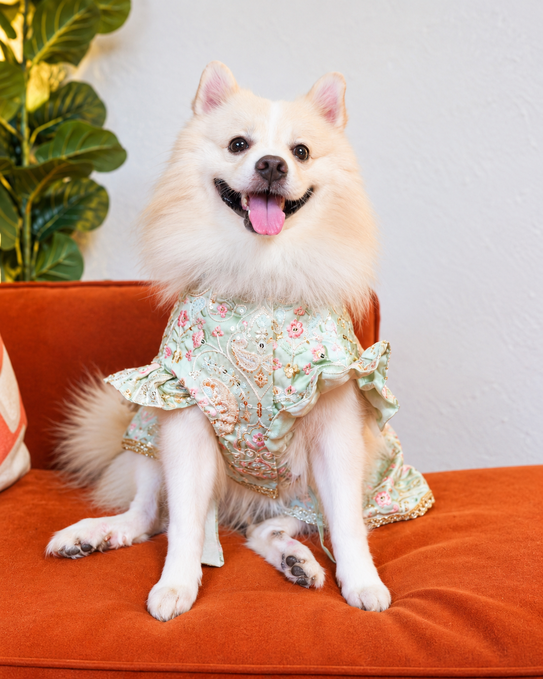 Careatic™ Elaichi Ghera Dog Lehenga