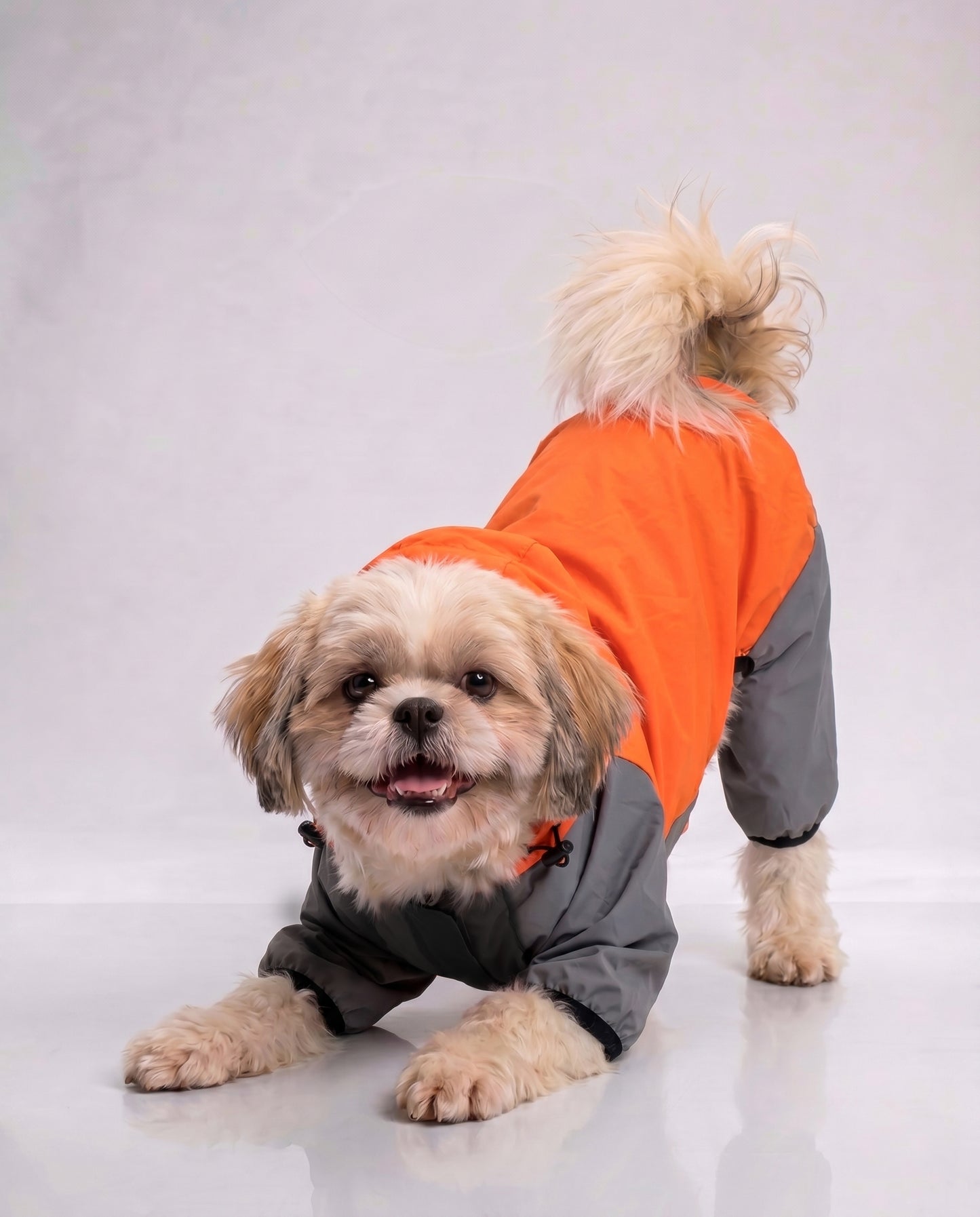 Careatic™ TrailGuard Duo Jumpsuit Raincoat for Shih Tzu