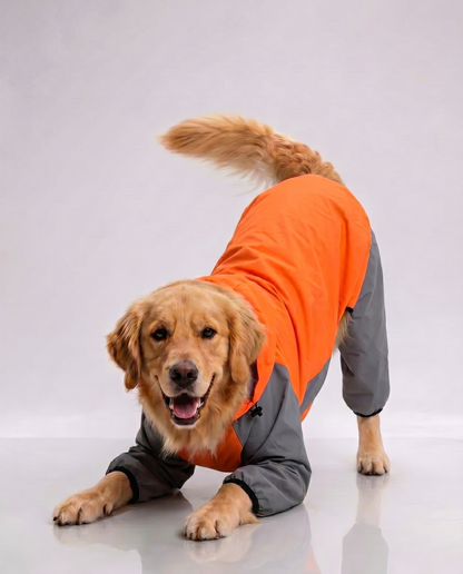 Careatic™ TrailGuard Duo Jumpsuit Raincoat for Golden Retriever - CAREATIC