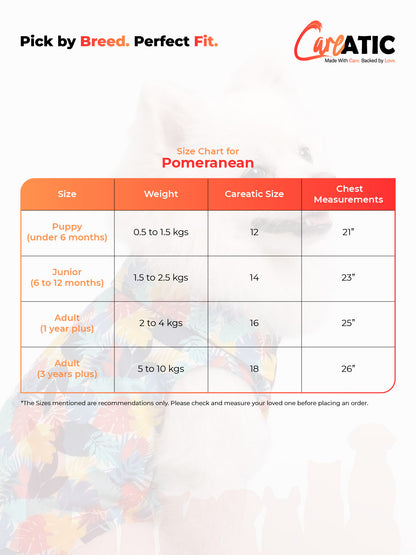 Careatic™ TrailGuard Duo Jumpsuit Raincoat for Pomeranian