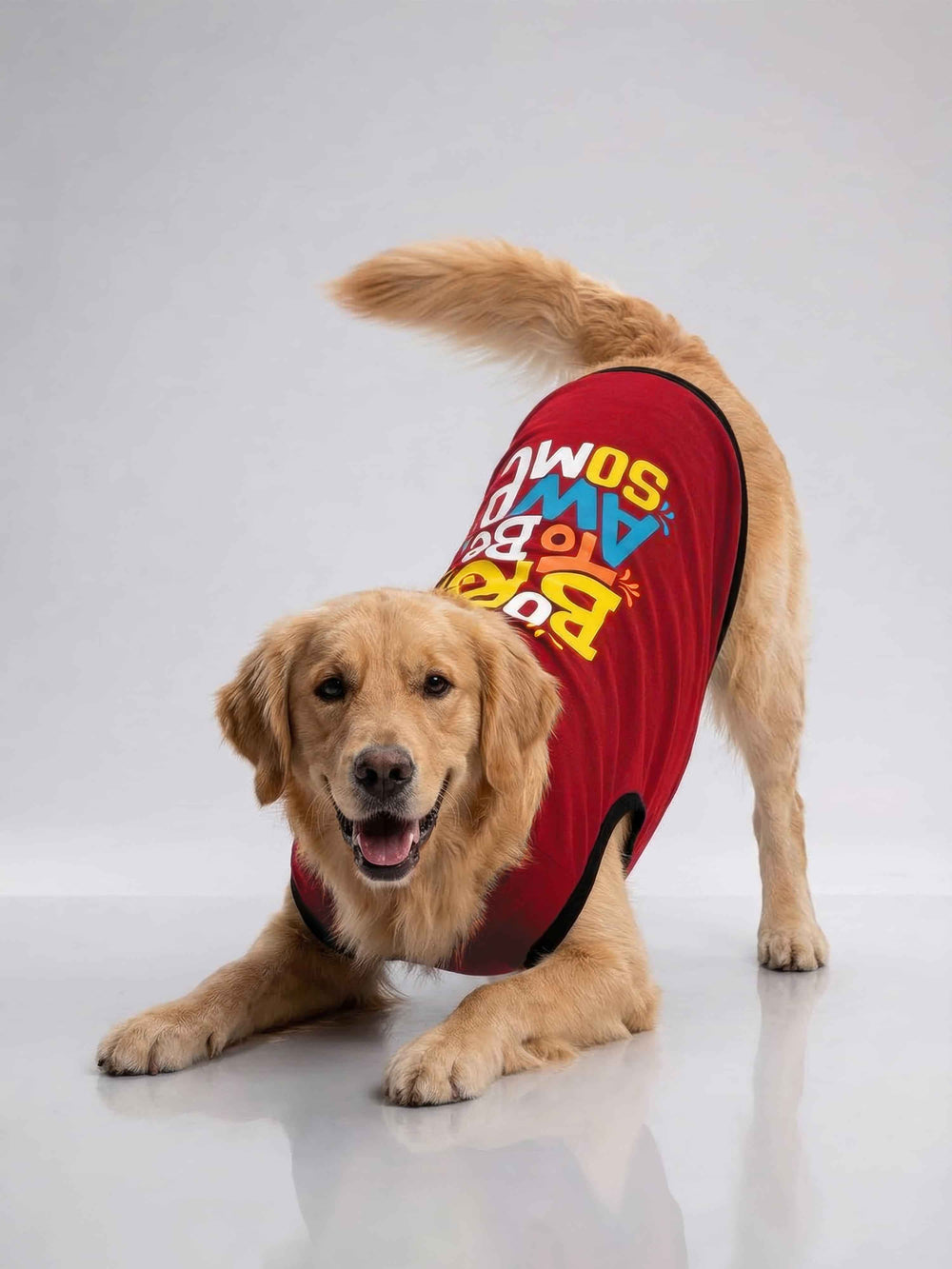 Careatic™ Born to Be Awesome Red Dog T-Shirt for Golden Retriever - CAREATIC
