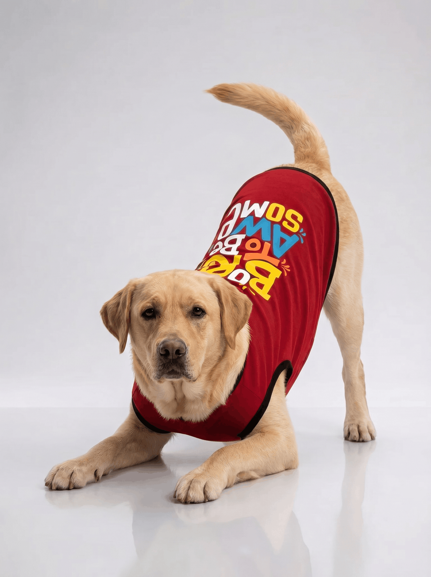 Careatic™ Born to Be Awesome Red T-shirt for Labrador Retriever - CAREATIC