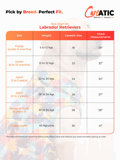Careatic™ Snowie Navy Shirt for Labrador Retrievers - CAREATIC